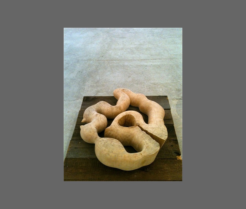 circulation planetree 65x60x15