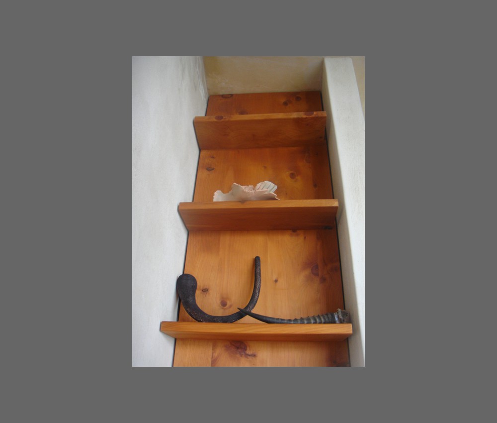closeup view shelves