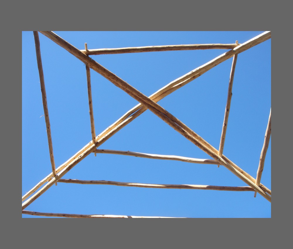 detail canopy