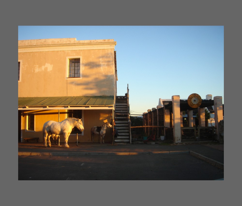 farm next to coffeshop