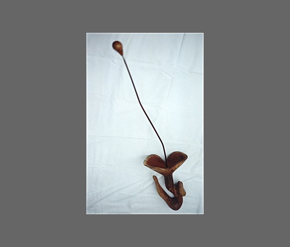 flycatcher hazelnut metal and red paint 12x25x125 