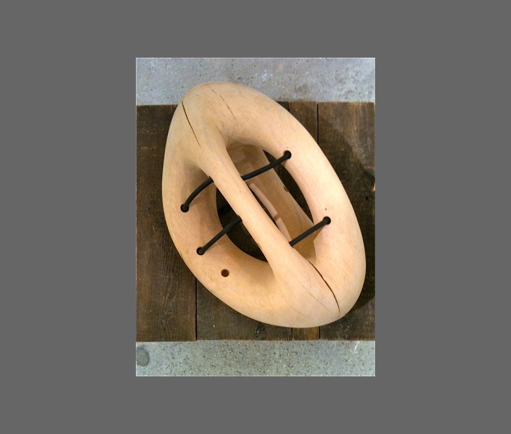 life form 2 beechwood and rubber hose 55x35x25