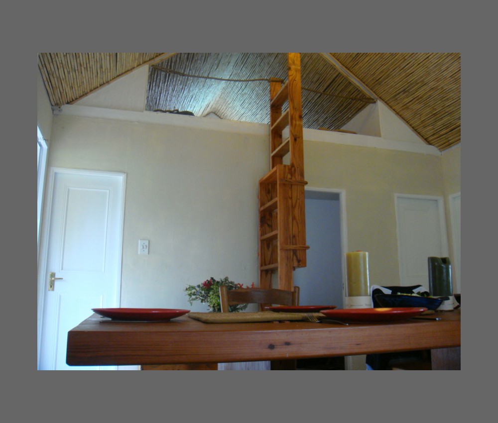new shelves (extendable as stairs leading to upstairs space)