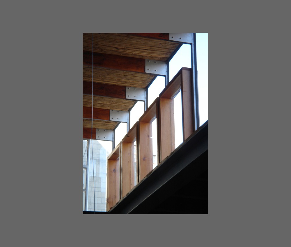 new window frames