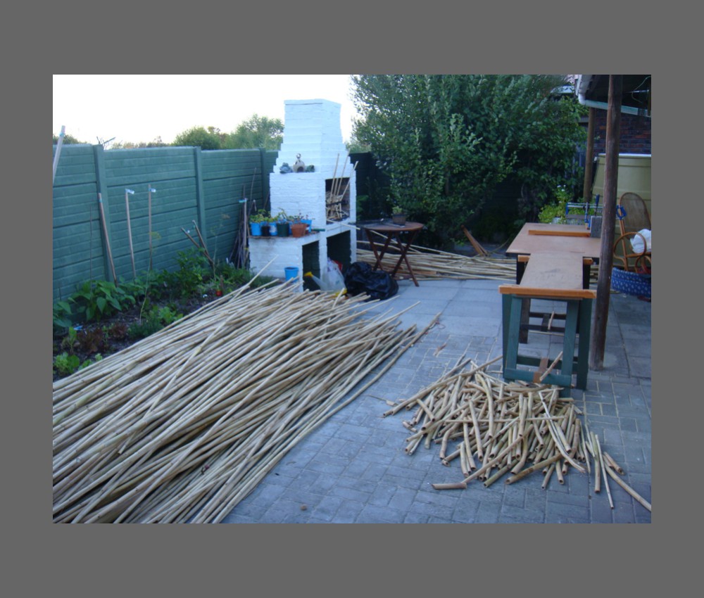 reeds for new ceiling of cottage before installation