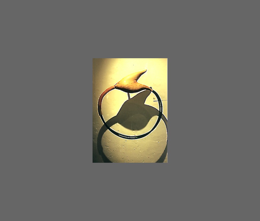 vital circuit