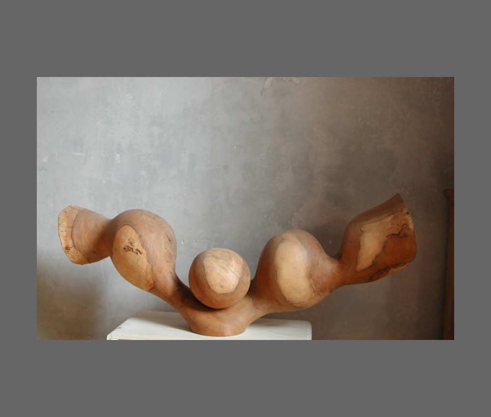 wingpiece iroko wood    20x35x65